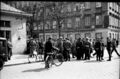 Razzia beim Schwarzmarkt auf dem Naschmarkt, Juni 1946