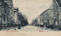 Carl-Ludwig-Straße.jpg