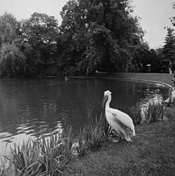 Stadtpark.jpg