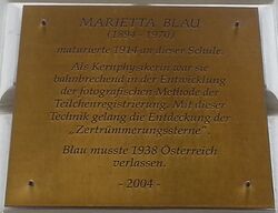 Gedenktafel Marietta Blau, Gymnasium Rahlgasse, 1060 Rahlgasse 4.jpg