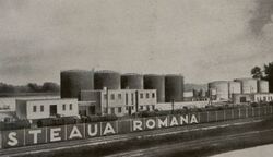 Steaua Romana.jpg