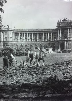 Pflügen am Heldenplatz in Wien.jpg