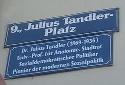 Erläuterungstafel Julius Tandler, 1090.jpg
